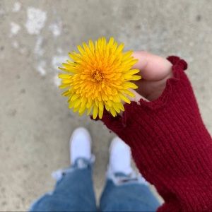 Meet your Posher, Arissa